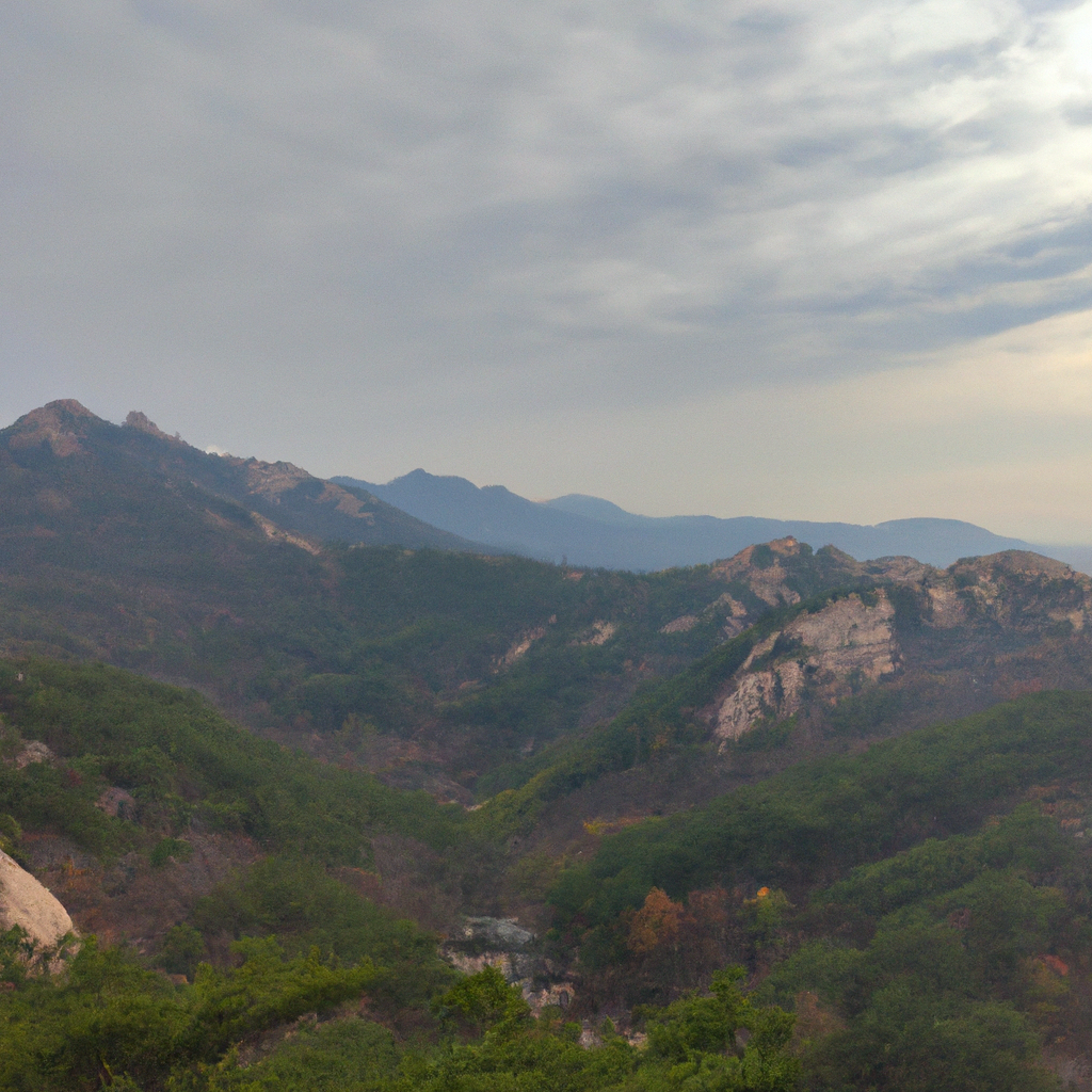 물걸레질보다 강력한 바닥 청소법, 하루 한 번으로 먼지 제거 끝