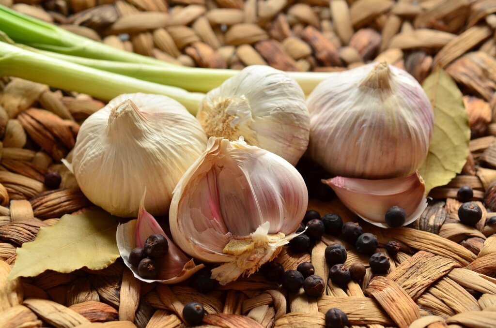 comparison of odor elimination methods in kitchen
