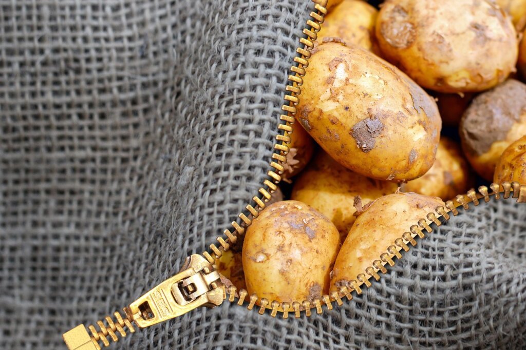 sealed zipper bag with food waste inside freezer