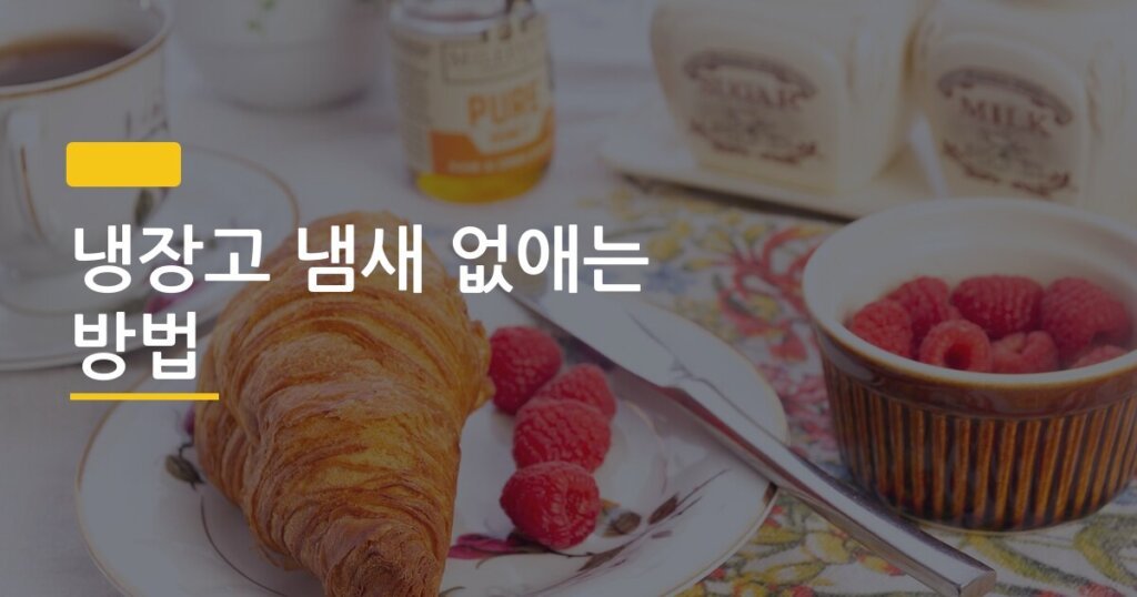 냉장고 냄새 없애는 방법, 커피찌꺼기 vs 숯 뭐가 진짜 효과 있을까
