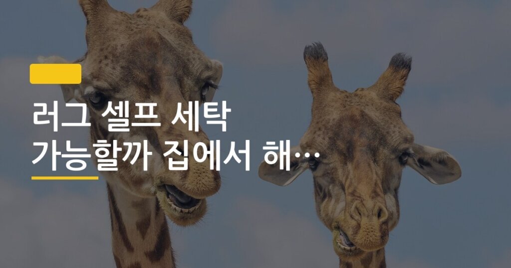 러그 셀프 세탁 가능할까 집에서 해본 후기