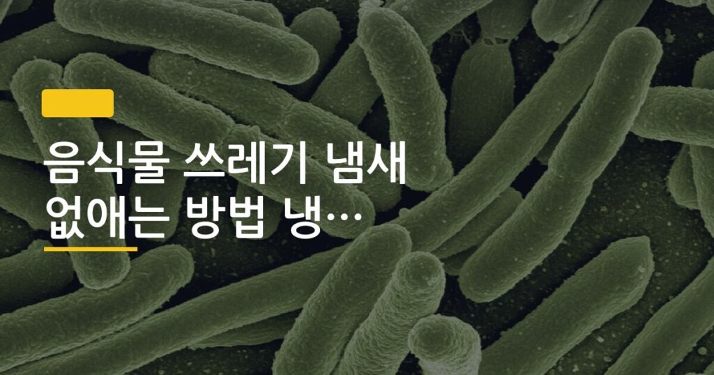 음식물 쓰레기 냄새 없애는 방법 냉동 보관 효과