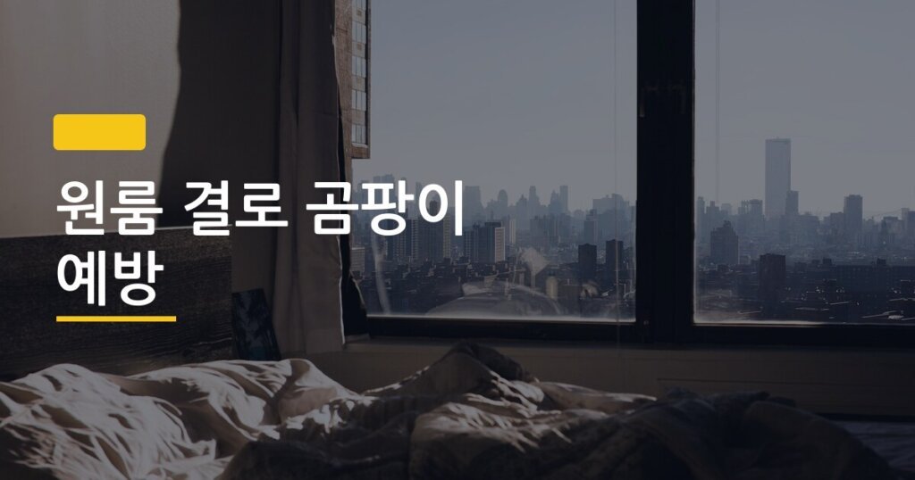 원룸 결로 곰팡이 예방, 환기와 제습제 어떻게 조합해야 진짜 효과 날까