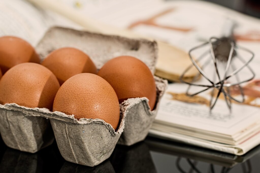 eggs stored in refrigerator inner shelf in egg carton