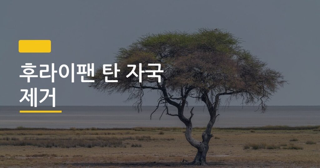후라이팬 탄 자국 제거, 소금 vs 베이킹소다 vs 식초 방법 비교해봤다