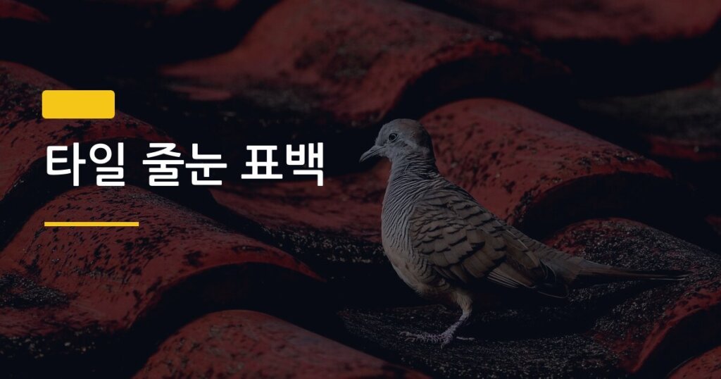 타일 줄눈 표백, 락스 하나로 검은 곰팡이 싹 지운 현실 후기