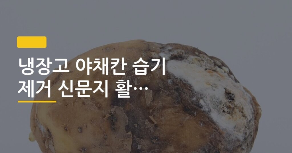 냉장고 야채칸 습기 제거 신문지 활용법