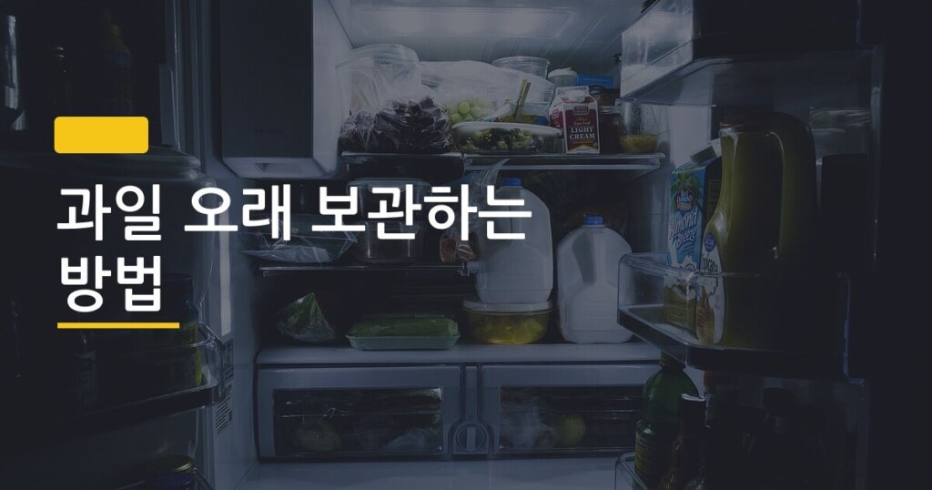 과일 오래 보관하는 방법, 냉장이 맞을까 냉동이 맞을까 과일별 완전 정리