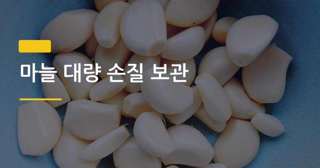 마늘 대량 손질 보관, 한 번만 하면 한 달 걱정 없는 진짜 방법