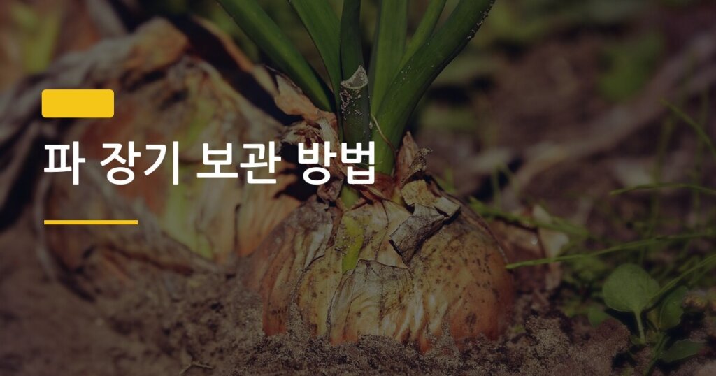 파 장기 보관 방법, 밑동 물꽂이 vs 냉동 어떤 게 더 오래갈까