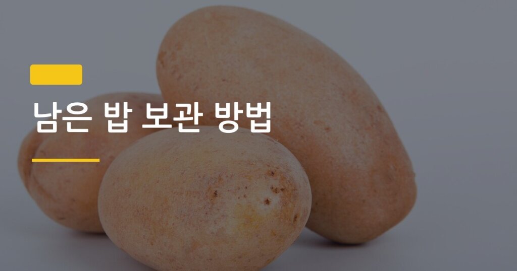 남은 밥 보관 방법, 냉동해도 처음처럼 맛있게 먹는 5가지 비결