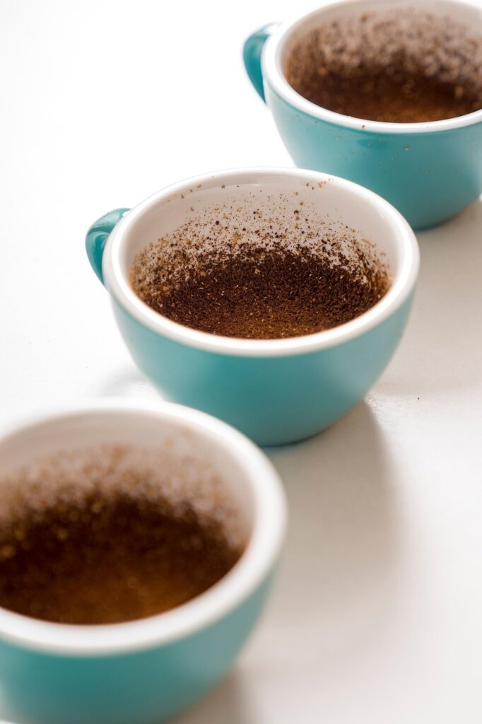 comparison of charcoal and coffee grounds in separate small containers on white background