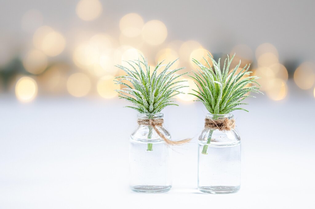 coarse salt in a small glass jar on white background