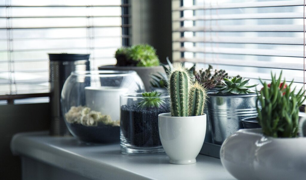different types of pots lined up on wooden shelf
