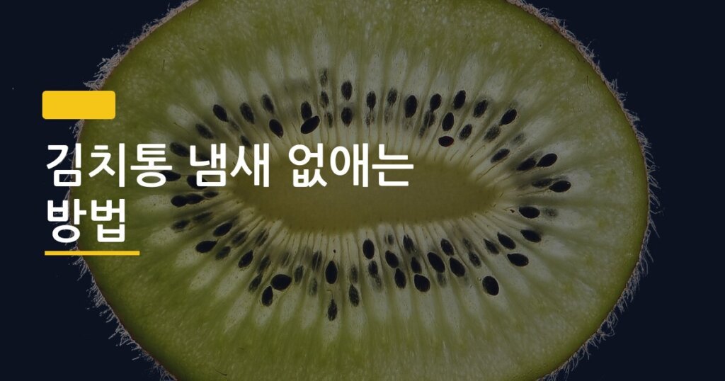 김치통 냄새 없애는 방법, 락스보다 이게 더 효과 있다는 사실 알고 있었나요
