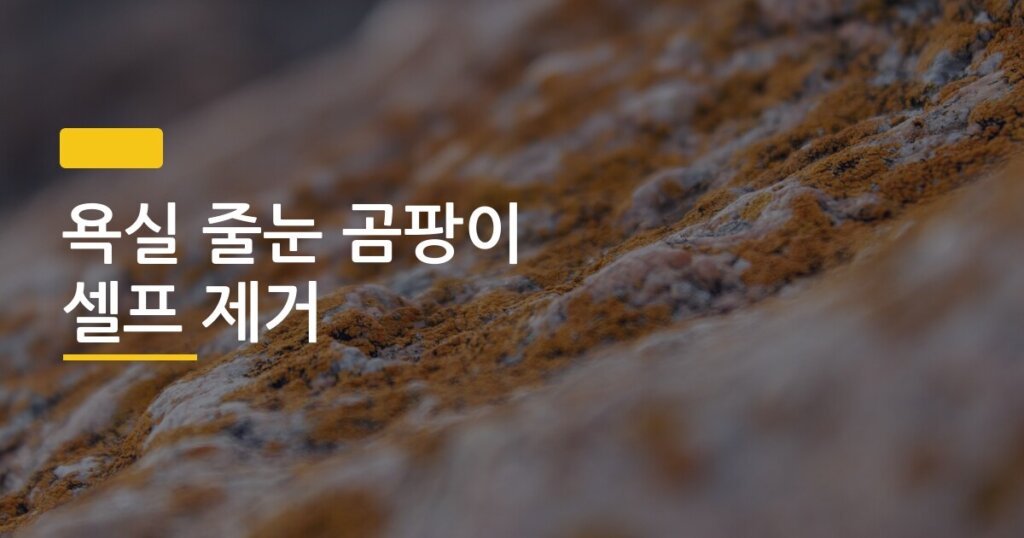 욕실 줄눈 곰팡이 셀프 제거, 전후 사진으로 보는 3단계 완전 정복기