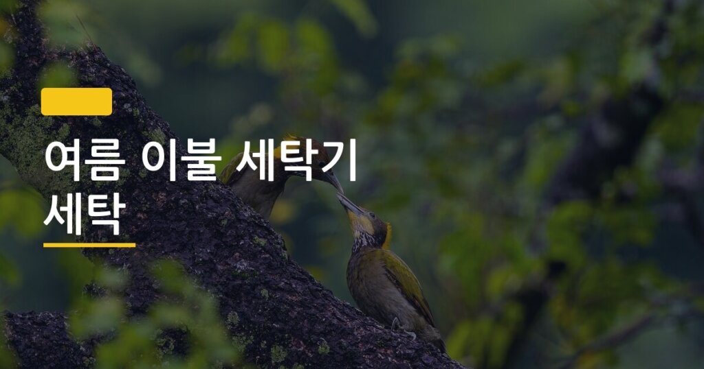 여름 이불 세탁기 세탁, 혼자서도 망치지 않는 5단계 완벽 정리