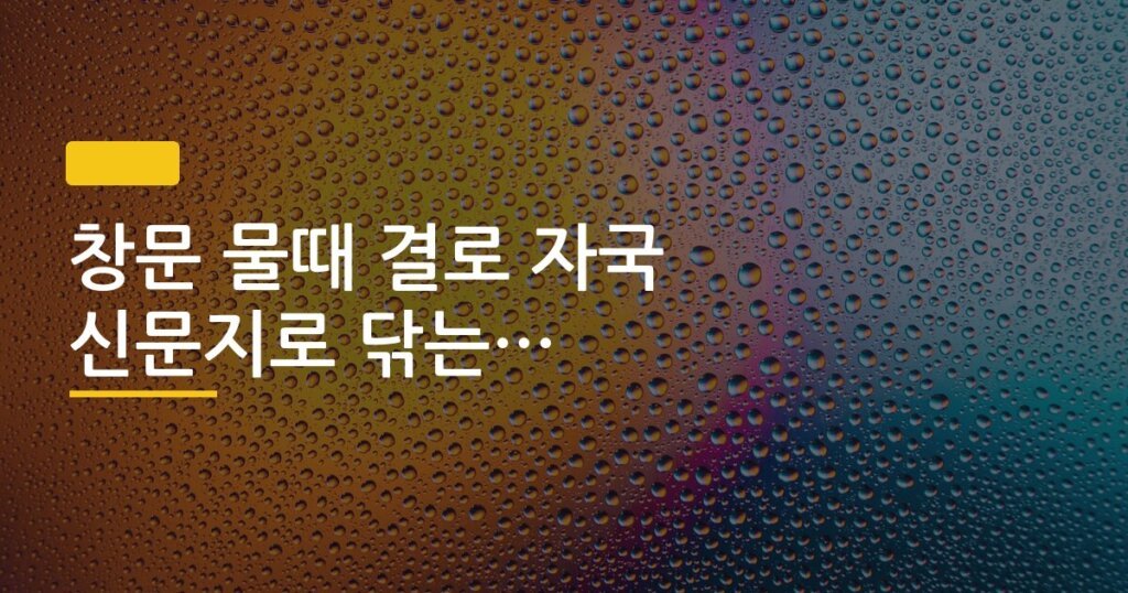 창문 물때 결로 자국 신문지로 닦는 효과 정리