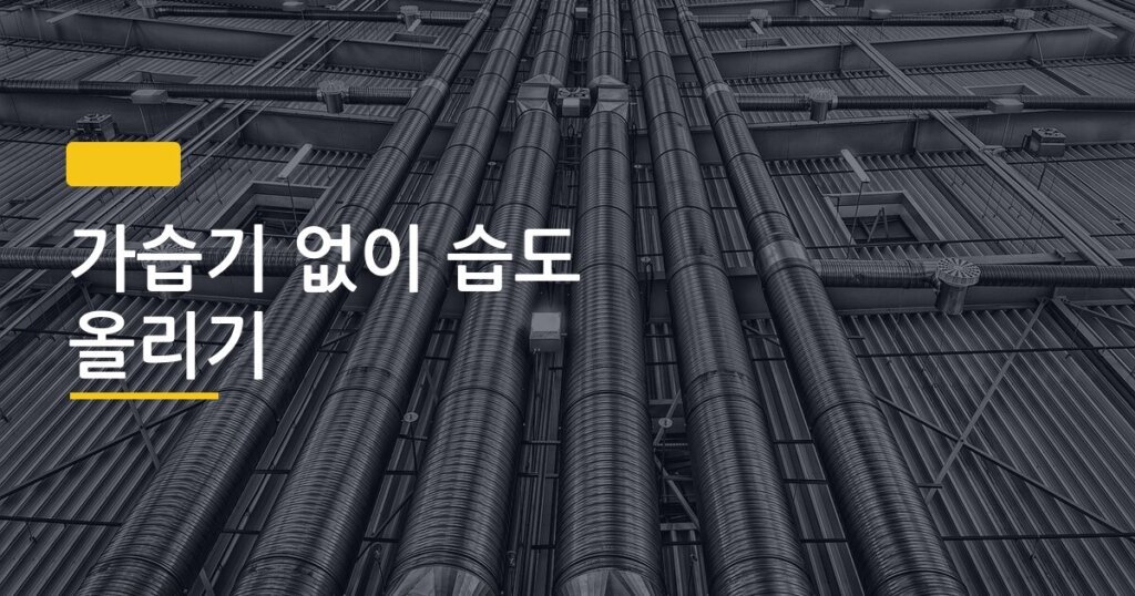 가습기 없이 습도 올리기, 돈 한 푼 안 쓰고 실내 건조함 잡는 5가지 방법